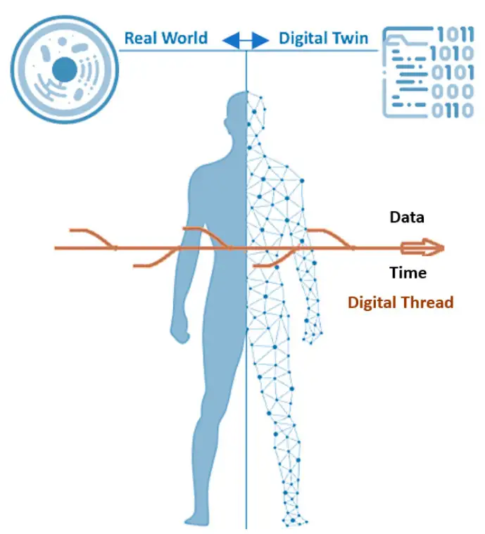 What Is Digital Twin in Medicine?