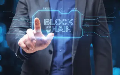 Privacy Techniques in Blockchain Health Data Systems