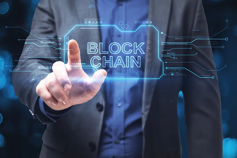 Privacy Techniques in Blockchain Health Data Systems Blockchain Health Data Systems